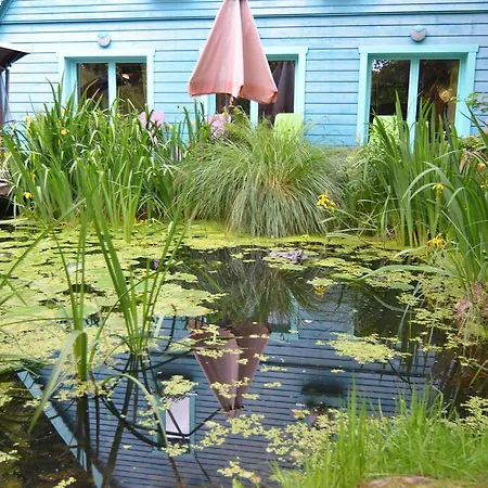 Elite Holiday With Pool In Sankt Andreasberg Сasa de vacaciones Braunlage