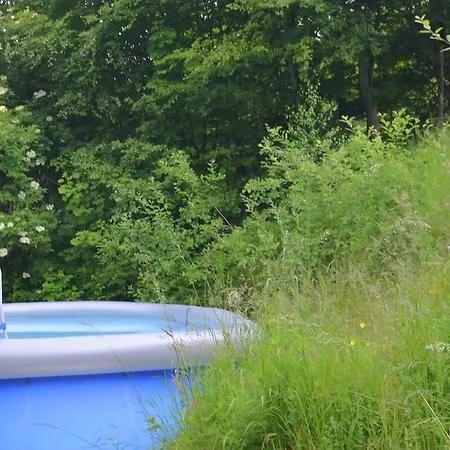 Сasa de vacaciones Elite Holiday With Pool In Sankt Andreasberg Braunlage
