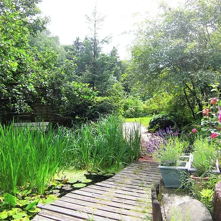 Elite Holiday With Pool In Sankt Andreasberg * Braunlage