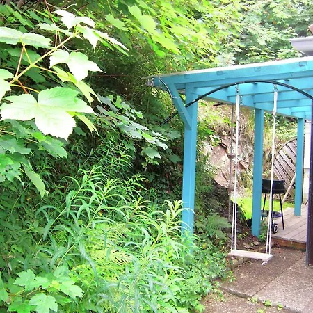 Сasa de vacaciones Elite Holiday With Pool In Sankt Andreasberg *