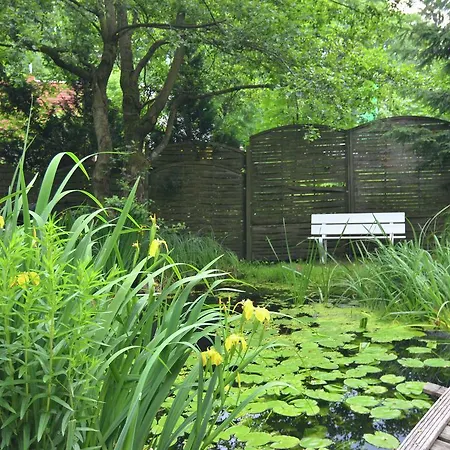 Elite Holiday With Pool In Sankt Andreasberg