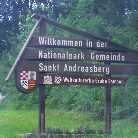 Elite Holiday With Pool In Sankt Andreasberg Сasa de vacaciones *